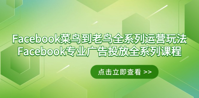 （9064期）Facebook-菜鸟到老鸟全系列运营玩法+Facebook-专业广告投放全系列课程-七量思维