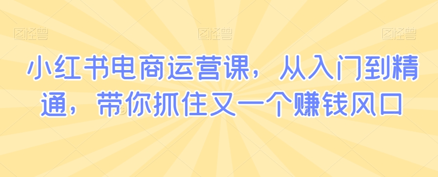 小红书电商运营课，从入门到精通，带你抓住又一个赚钱风口-七量思维