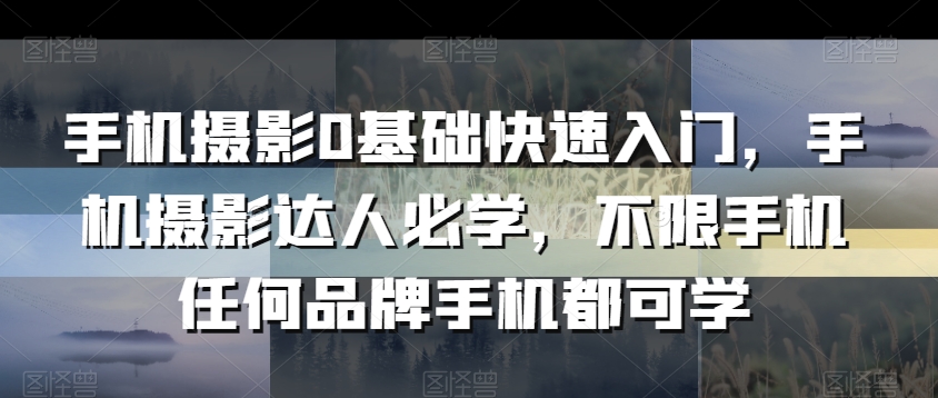 手机摄影0基础快速入门，手机摄影达人必学，不限手机任何品牌手机都可学-七量思维