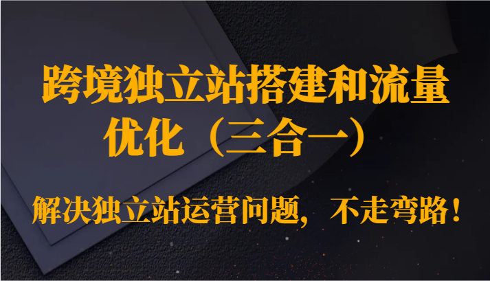 跨境独立站搭建和流量优化（三合一）解决独立站运营问题，不走弯路！-七量思维