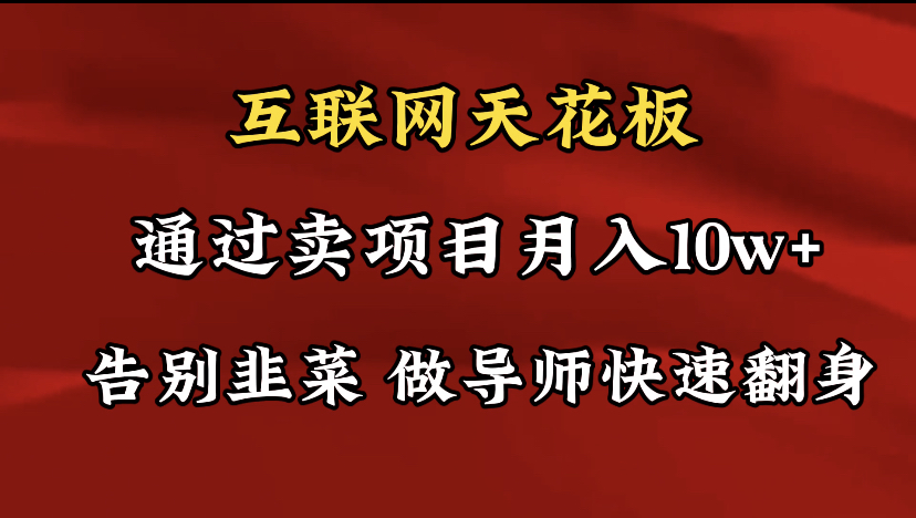 （9201期）导师训练营互联网的天花板，让你告别韭菜，通过卖项目月入10w+，一定要…-七量思维