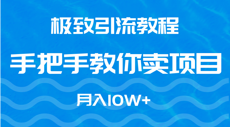 （9265期）极致引流教程，手把手教你卖项目，月入10W+-七量思维