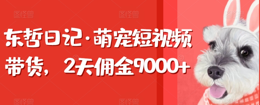 东哲日记·萌宠短视频带货，2天佣金9000+-七量思维