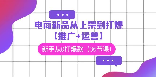 （9286期）电商 新品从上架到打爆【推广+运营】，新手从0打爆款（36节课）-七量思维