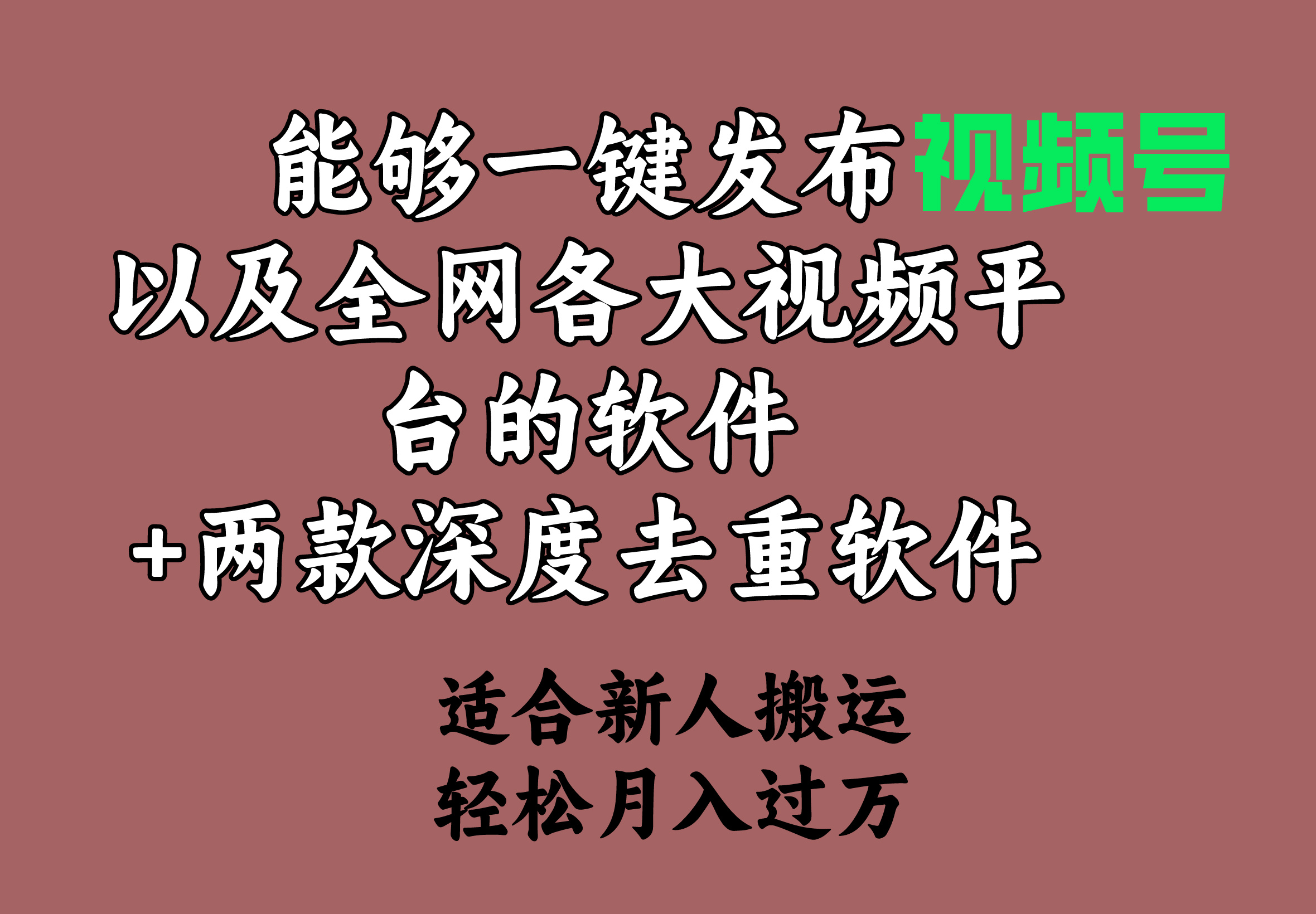 （9319期）能够一键发布视频号以及全网各大视频平台的软件+两款深度去重软件 适合…-七量思维