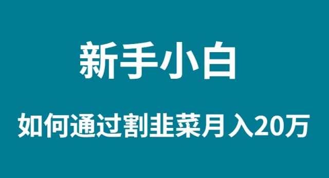 （9308期）新手小白如何通过割韭菜月入 20W-七量思维