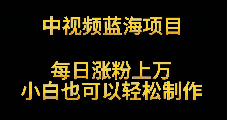 中视频蓝海项目，解读英雄人物生平，每日涨粉上万，小白也可以轻松制作，月入过万不是梦-七量思维