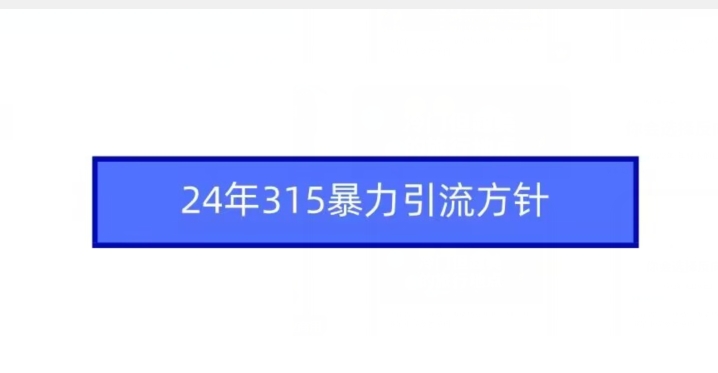 24年315暴力引流方针-七量思维