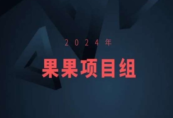 2024年果果项目组项目合集-果果最新项目-七量思维