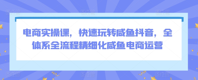 电商实操课，快速玩转咸鱼抖音，全体系全流程精细化咸鱼电商运营-七量思维