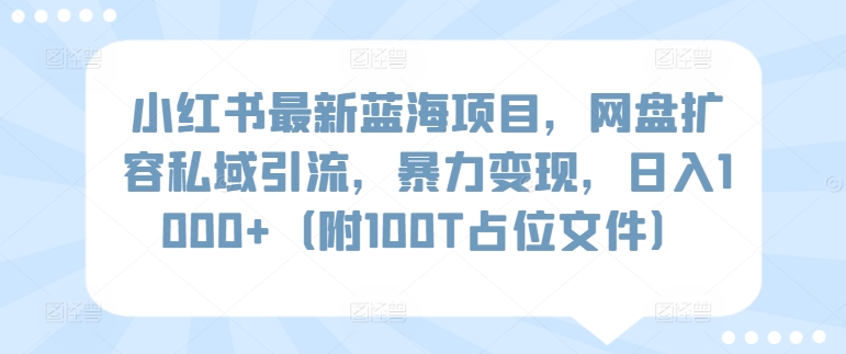 小红书最新蓝海项目，网盘扩容私域引流，暴力变现，日入1000+（附100T占位文件）-七量思维