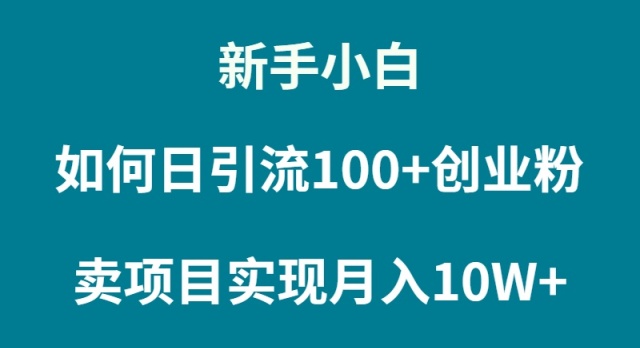 （9556期）新手小白如何通过卖项目实现月入10W+-七量思维