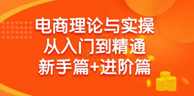 （9576期）电商理论与实操从入门到精通 新手篇+进阶篇-七量思维