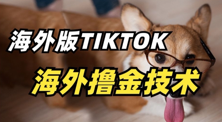 抖音海外版tiktok撸金技术，这个风口行业，赚钱真的不难-七量思维