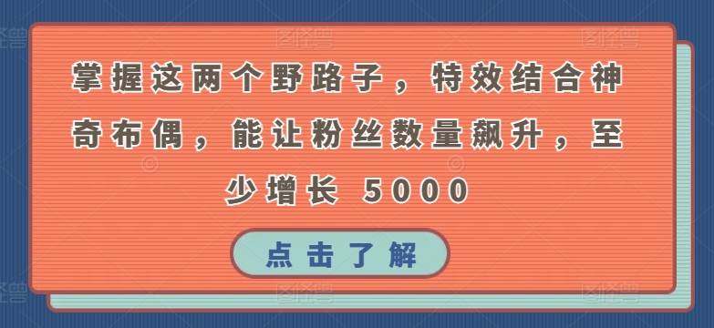 掌握这两个野路子，特效结合神奇布偶，能让粉丝数量飙升，至少增长 5000-七量思维