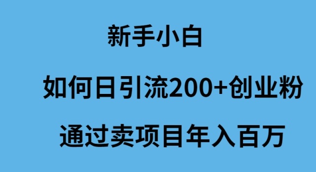 （9668期）新手小白如何日引流200+创业粉通过卖项目年入百万-七量思维