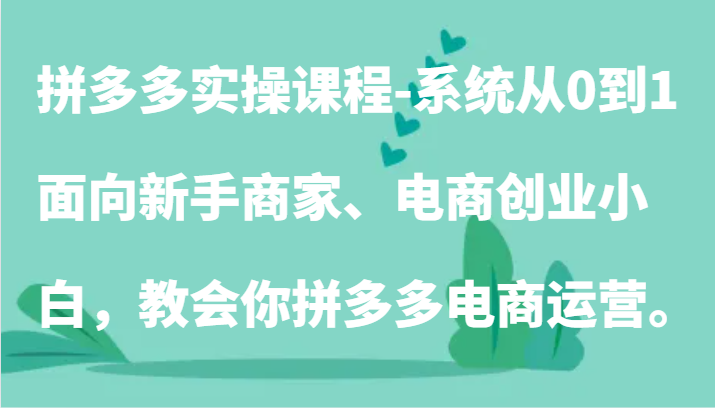 拼多多实操课程-系统从0到1，面向新手商家、电商创业小白，教会你拼多多电商运营。-七量思维