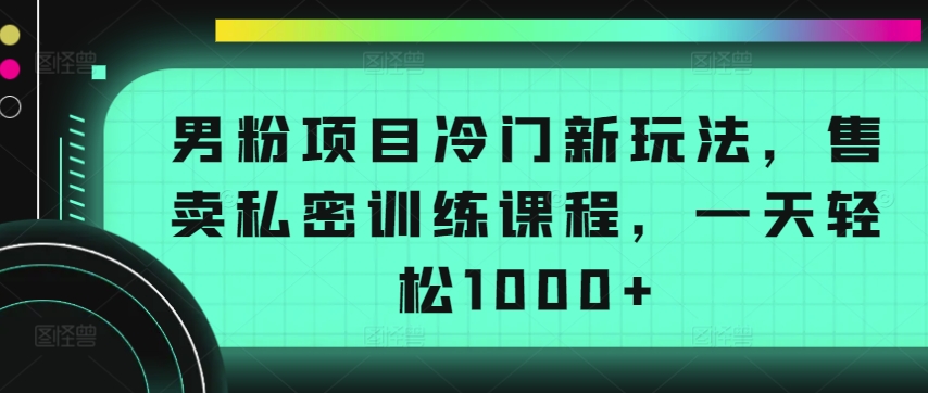 男粉项目冷门新玩法，售卖私密训练课程，一天轻松1000+-七量思维