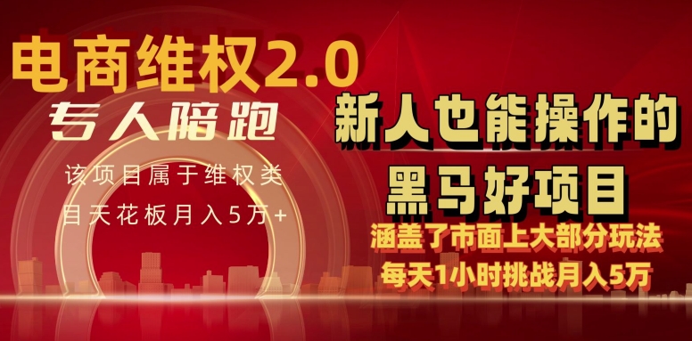 电商维权 4.0 如何做到月入 5 万+每天 1 小时新人也能快速上手【仅揭秘】-七量思维