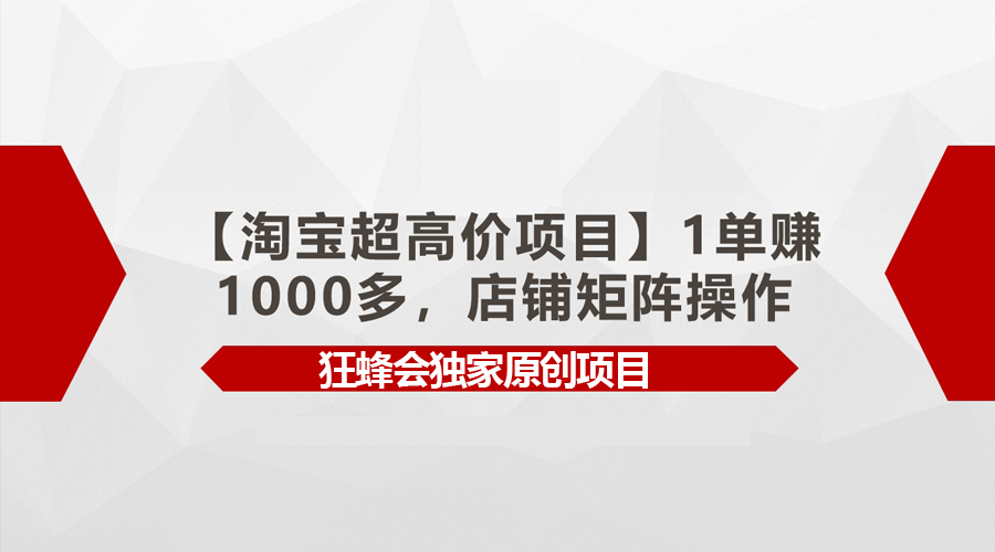 （9849期）【淘宝超高价项目】1单赚1000多，店铺矩阵操作-七量思维