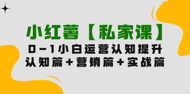 （9910期）小红薯【私家课】0-1玩赚小红书内容营销，认知篇+营销篇+实战篇（11节课）-七量思维