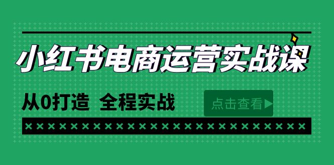 （9946期）最新小红书·电商运营实战课，从0打造  全程实战（65节视频课）-七量思维