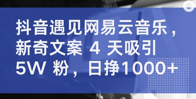 抖音遇见网易云音乐，新奇文案 4 天吸引 5W 粉，日挣1000+-七量思维