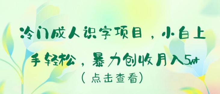 冷门成人识字项目，小白上手轻松，暴力创收月入5w+-七量思维