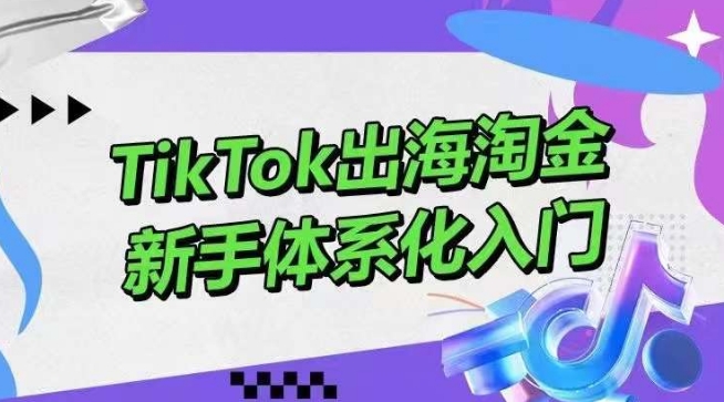 TikTok出海淘金，新手体系化入门，零基础快速入门，掌握短视频、直播带货等引流到变现的知识-七量思维