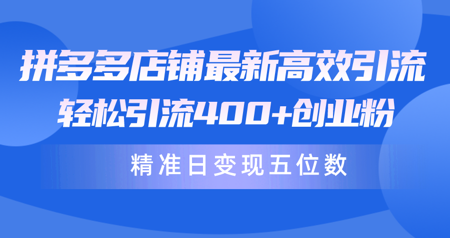 （10041期）拼多多店铺最新高效引流术，轻松引流400+创业粉，精准日变现五位数！-七量思维