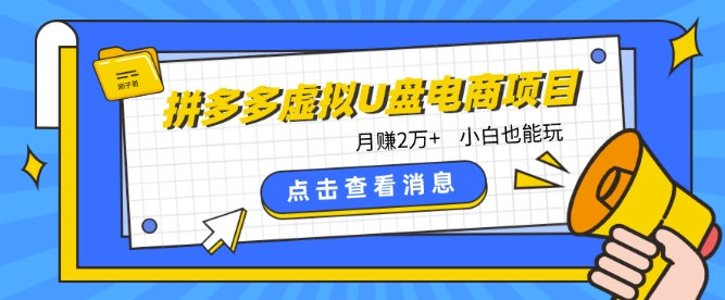 拼多多虚拟U盘电商红利项目：月赚2万+，新手小白也能玩-七量思维