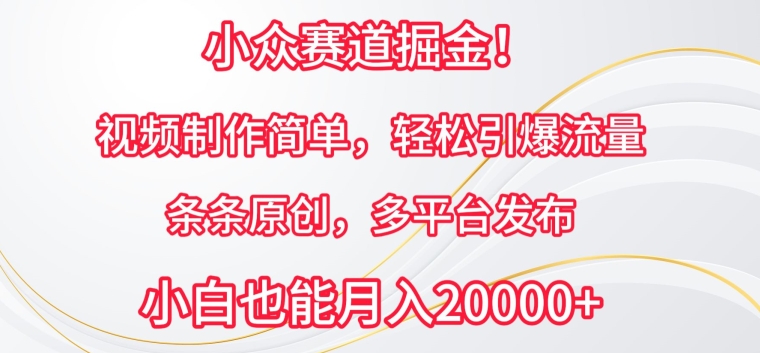 小众赛道掘金，视频制作简单，轻松引爆流量，条条原创，多平台发布-七量思维