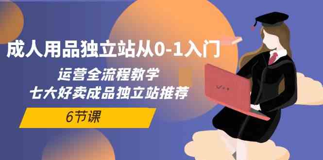 成人用品独立站从0-1入门，运营全流程教学，七大好卖成品独立站推荐（6节课）-七量思维