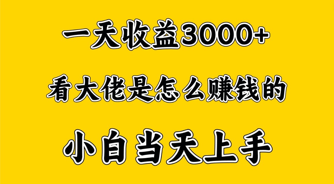 一天赚3000多，大佬是这样赚到钱的，小白当天上手，穷人翻身项目-七量思维