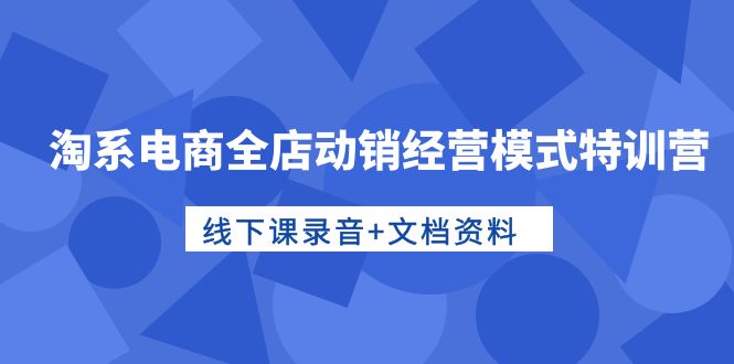 （10192期）淘系电商全店动销经营模式特训营，线下课录音+文档资料-七量思维