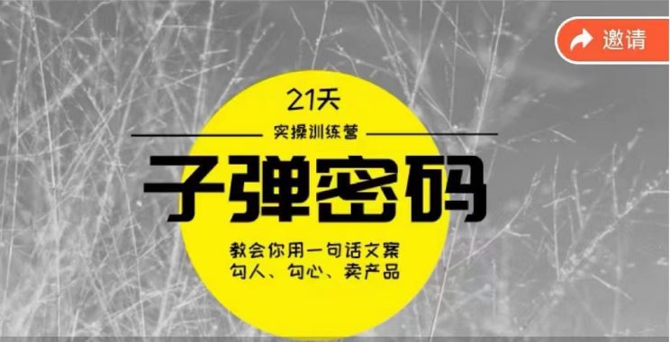 《子弹密码训练营》用一句话文案勾人勾心卖产品，21天学到顶尖文案大师策略和技巧-七量思维