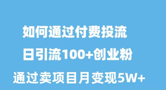 （10189期）如何通过付费投流日引流100+创业粉月变现5W+-七量思维