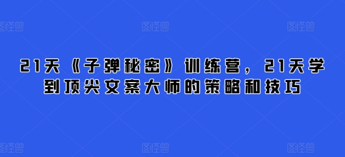 21天《子弹秘密》训练营，21天学到顶尖文案大师的策略和技巧-七量思维