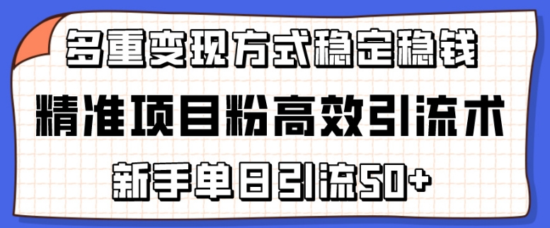 精准项目粉高效引流术，新手单日引流50+，多重变现方式稳定赚钱-七量思维