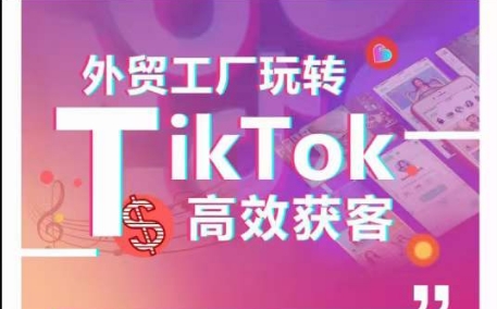 外贸工厂玩转TikTok高效获客，多种引流方式与账号定位技巧，拆解爆款短视频打造成功案例-七量思维