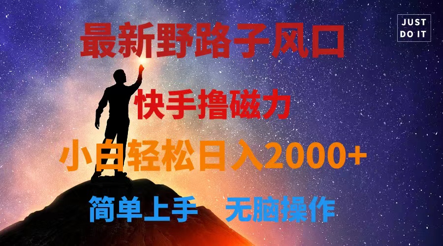 （10754期）最新风口！快手撸磁力，野路子，小白无脑操作日入2000+-七量思维