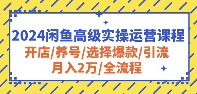 2024闲鱼高级实操运营课程：开店/养号/选择爆款/引流/月入2万/全流程-七量思维