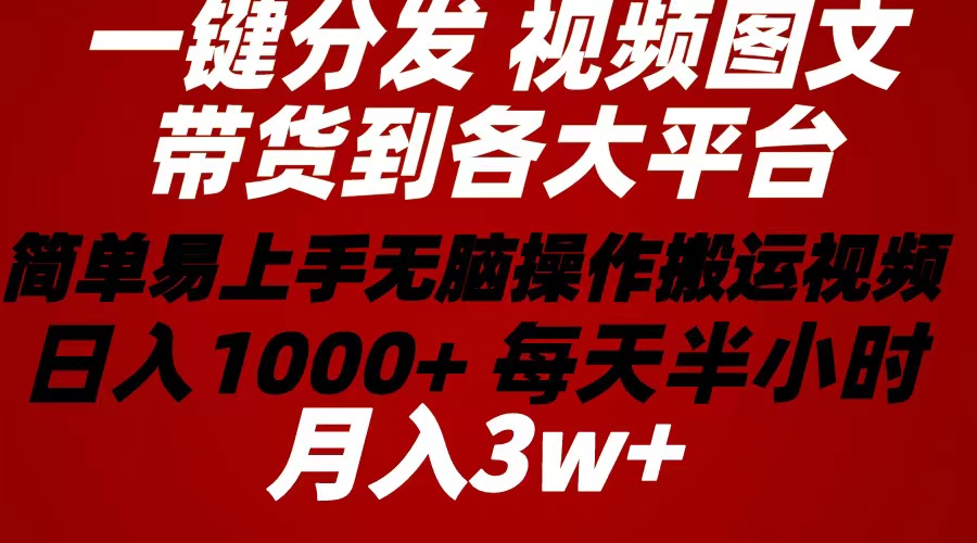 （10667期）2024年 一键分发带货图文视频  简单易上手 无脑赚收益 每天半小时日入1…-七量思维