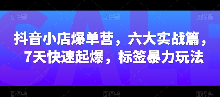 抖音小店爆单营，六大实战篇，7天快速起爆，标签暴力玩法-七量思维