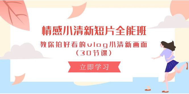 （10567期）情感 小清新短片-全能班，教你拍好看的vlog小清新画面 (30节课)-七量思维