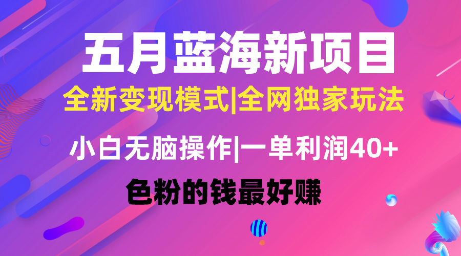 （10477期）五月蓝海项目全新玩法，小白无脑操作，一天几分钟，矩阵操作，月入4万+-七量思维