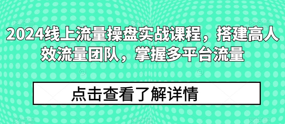 2024线上流量操盘实战课程，搭建高人效流量团队，掌握多平台流量-七量思维