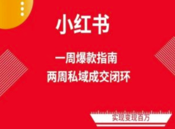 爆款小红书免费流量体系课程(两周变现)，小红书电商教程-七量思维