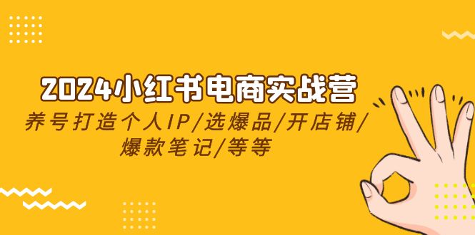 （10375期）2024小红书电商实战营，养号打造IP/选爆品/开店铺/爆款笔记/等等（24节）-七量思维