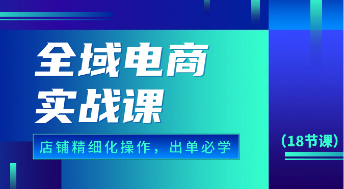 全域电商实战课，个人店铺精细化操作流程，出单必学内容（18节课）-七量思维